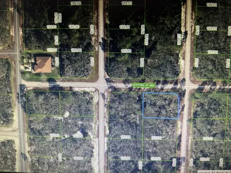 314 NW Spitfire Street Lake Placid FL 33852