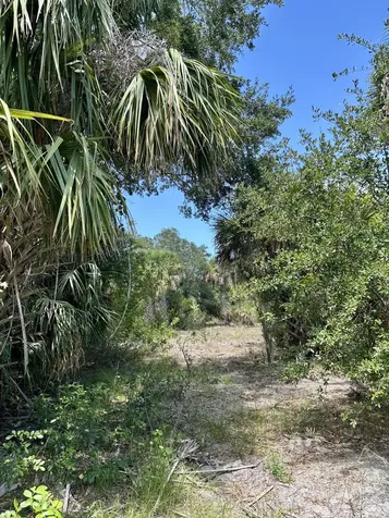 1701 Cabbage Wood Road Okeechobee FL 34974