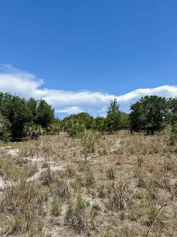 1701 Cabbage Wood Road Okeechobee FL 34974