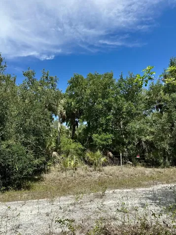 1701 Cabbage Wood Road Okeechobee FL 34974
