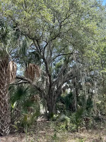 1701 Cabbage Wood Road Okeechobee FL 34974