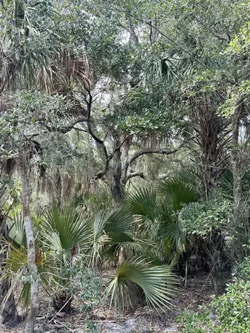 1701 Cabbage Wood Road Okeechobee FL 34974