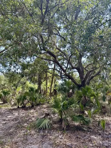 1701 Cabbage Wood Road Okeechobee FL 34974