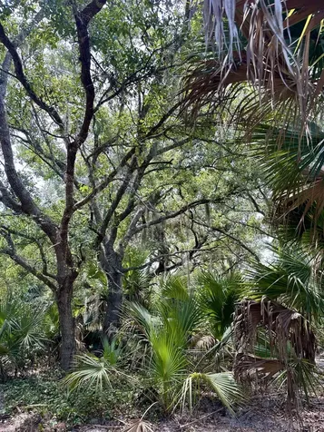 1701 Cabbage Wood Road Okeechobee FL 34974