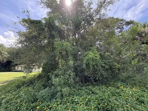 Tbd Santa Clara Boulevard Lakewood Park FL 34951