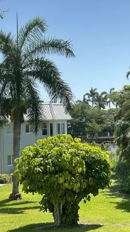 33 Colonial Club Drive Boynton Beach FL 33435