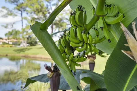 4528 Sw Fenwick Lane Palm City FL 34990