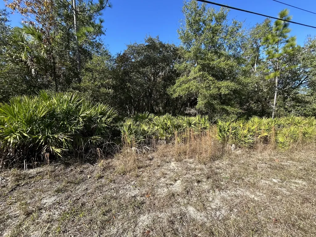 632 N Dunkenfield Avenue Crystal River FL 34429