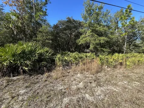 632 N Dunkenfield Avenue Crystal River FL 34429