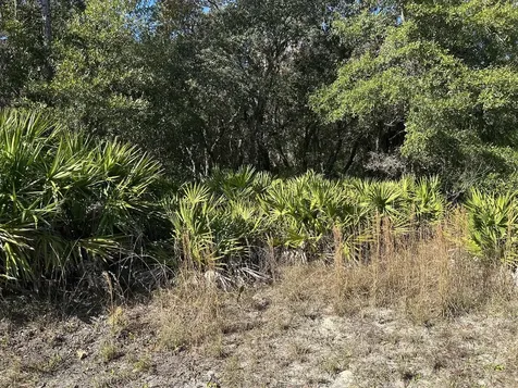 632 N Dunkenfield Avenue Crystal River FL 34429