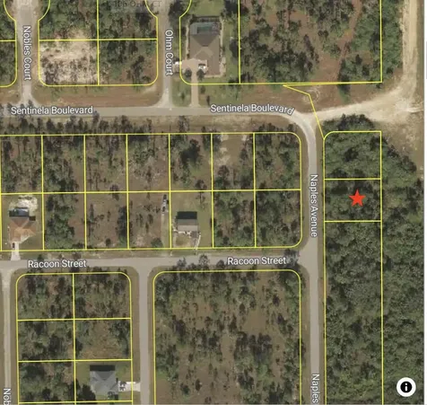 121 Naples Avenue Lehigh Acres FL 33974