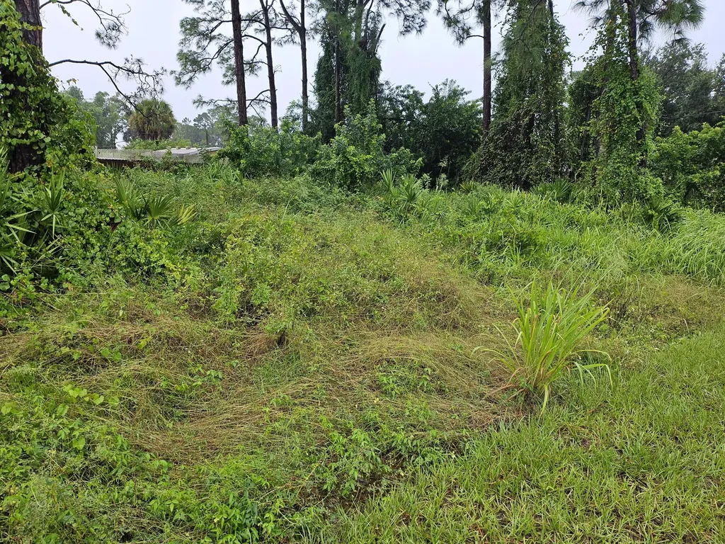 259 Hilliard Road Palm Bay FL 32907