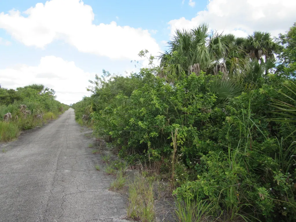 3362 Anhinga Avenue Palm Bay FL 32908
