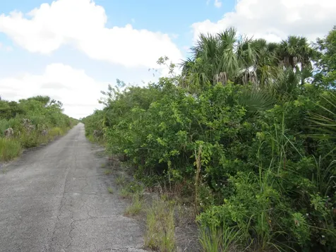 3362 Anhinga Avenue Palm Bay FL 32908