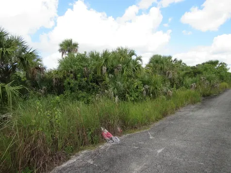 3362 Anhinga Avenue Palm Bay FL 32908