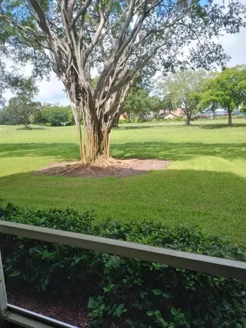 6461 Nw 2nd Avenue Boca Raton FL 33487