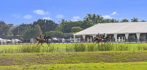 14775 Equestrian Way Wellington FL 33414