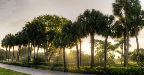 701 Bridgewood Drive Boca Raton FL 33434