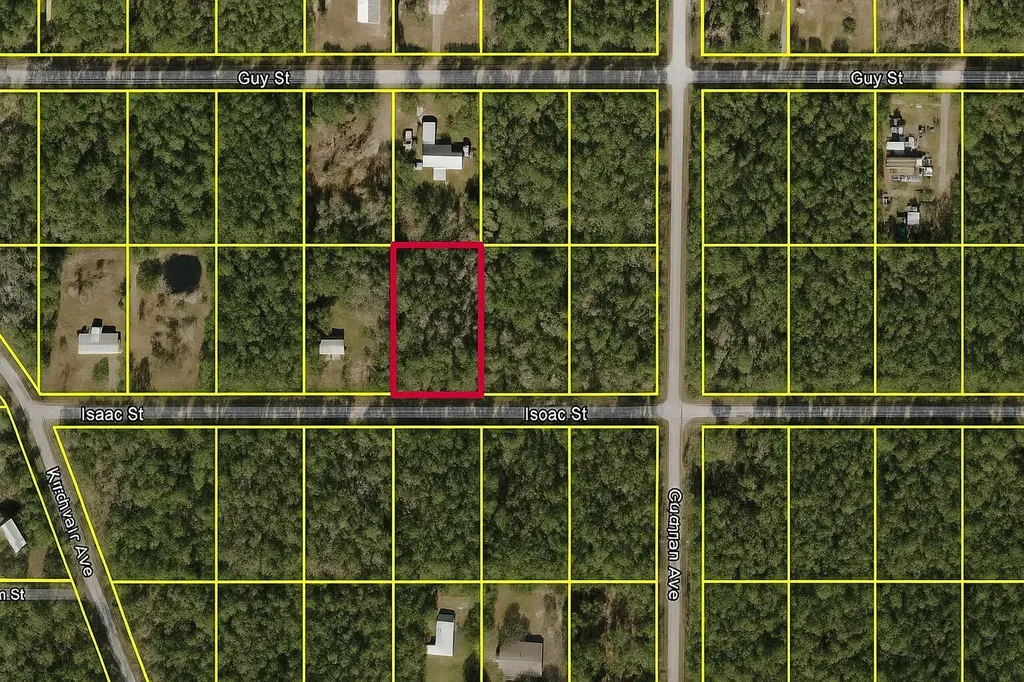 4220 Isaac Street Hastings FL 32145