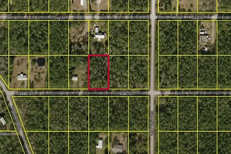 4220 Isaac Street Hastings FL 32145