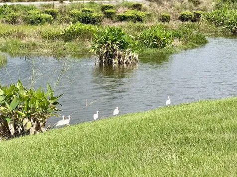 137 SE Mira Lavella Port Saint Lucie FL 34984