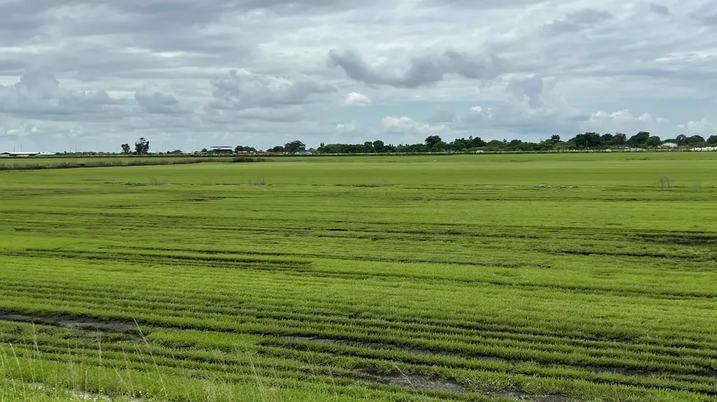 400 State Road 80 Belle Glade FL 33430