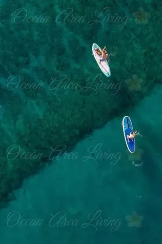 2731 Ne 5th Street Pompano Beach FL 33062