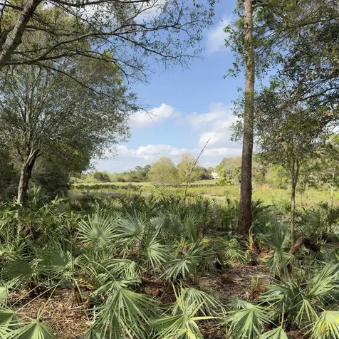 1828 Nw Buttonbush Circle Palm City FL 34990
