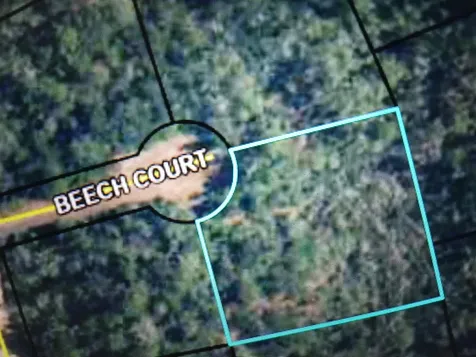 000 Beech Court Alford FL 32420