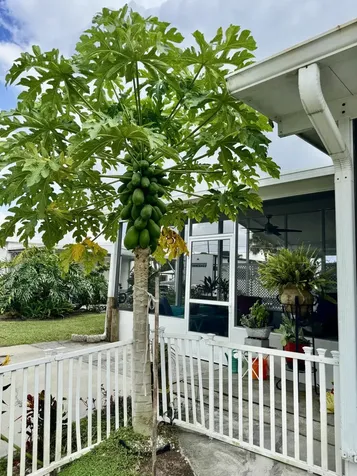 1903 Se 30th Street Okeechobee FL 34974