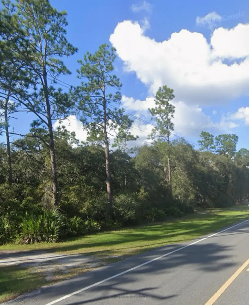0 NE 315 Highway Fort McCoy FL 32134