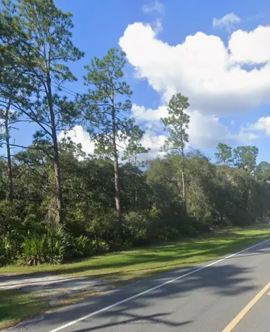 0 315 Highway Fort McCoy FL 32134