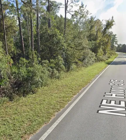 0 NE 315 Highway Fort McCoy FL 32134