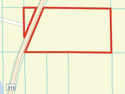 0 NE 315 Highway Fort McCoy FL 32134
