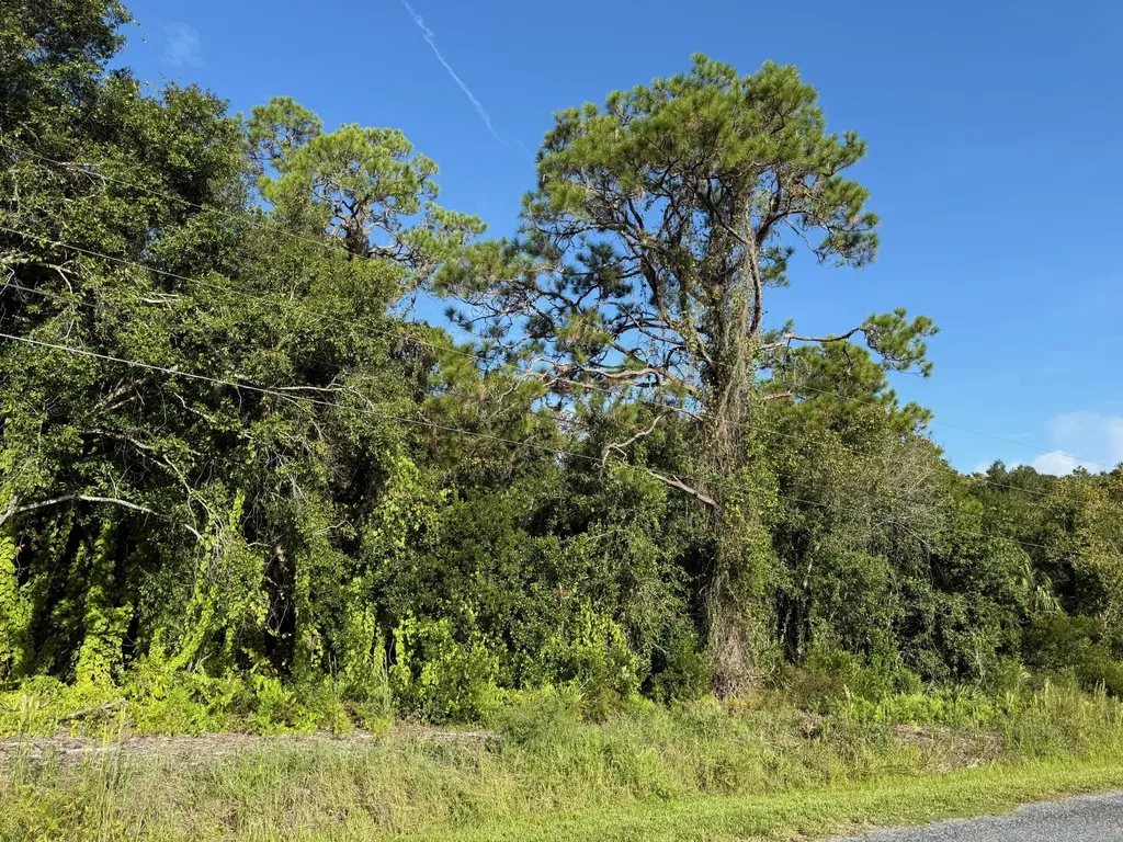 0 Magnolia Drive Okeechobee FL 34972