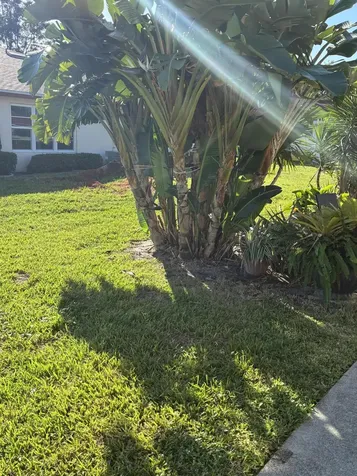 4540 NW 3rd Court Delray Beach FL 33445
