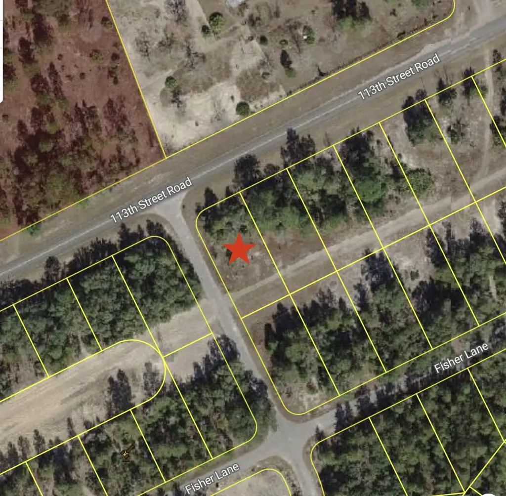0 Tbd 113th Street Lot 1 Road Ocklawaha FL 32179