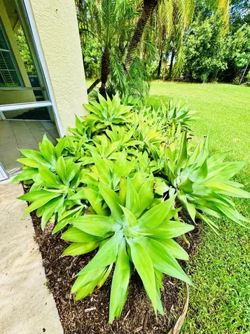 406 Sw Fairway Landing Port Saint Lucie FL 34986