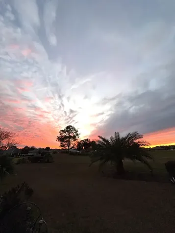 9775 Sw 92nd Street Ocala FL 34481