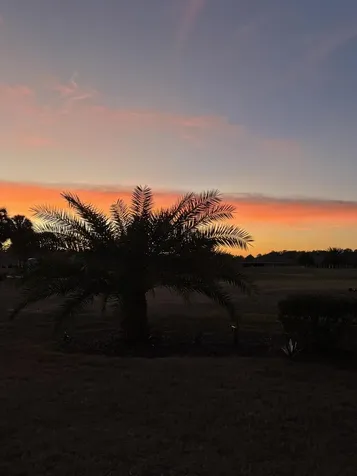 9775 Sw 92nd Street Ocala FL 34481