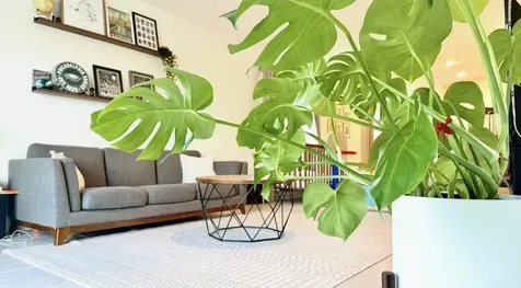 612 Papillon Street Palm Bay FL 32908