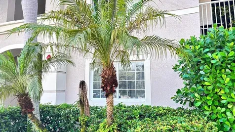 5025 Wiles Road Coconut Creek FL 33073