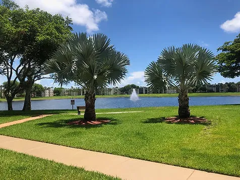 5085 Bottlebrush Street Delray Beach FL 33484