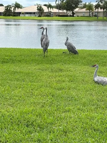2585 San Andros West Palm Beach FL 33411