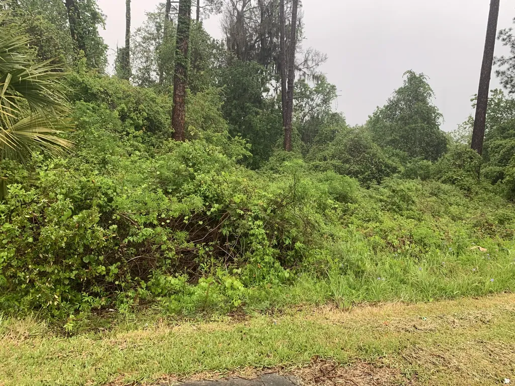 0 SE Unassigned Location Re Avenue Gainesville FL 32641