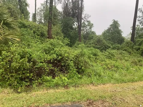 0 SE Unassigned Location Re Avenue Gainesville FL 32641