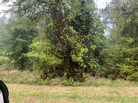 0 SE Unassigned Location Re Avenue Gainesville FL 32641