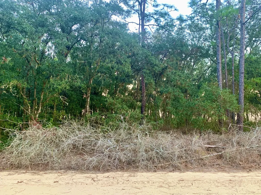 301 S Crestview Avenue Inverness FL 34452