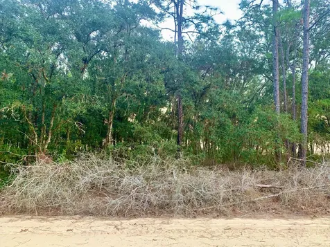 301 S Crestview Avenue Inverness FL 34452