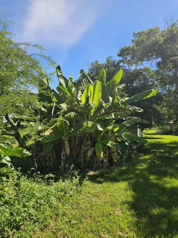 925 Sw 39th Lane Okeechobee FL 34974